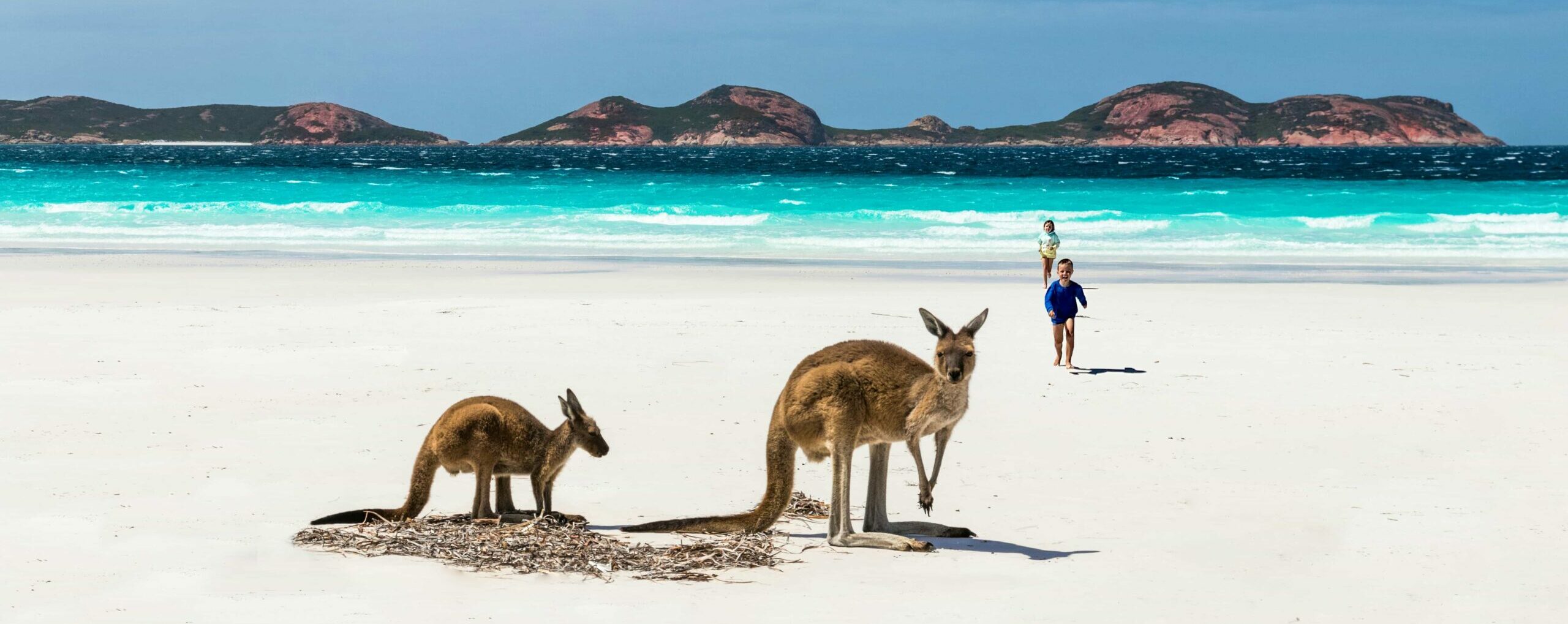 Bref : le PVT en Australie